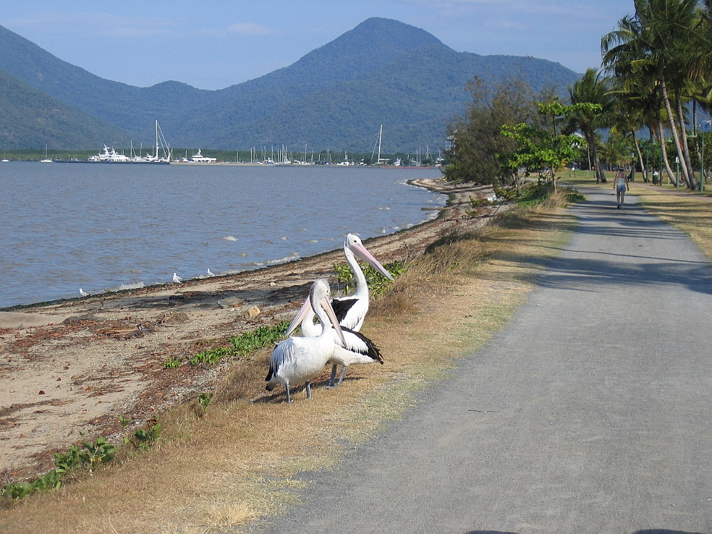 CairnsTC257 Esplanade.jpg